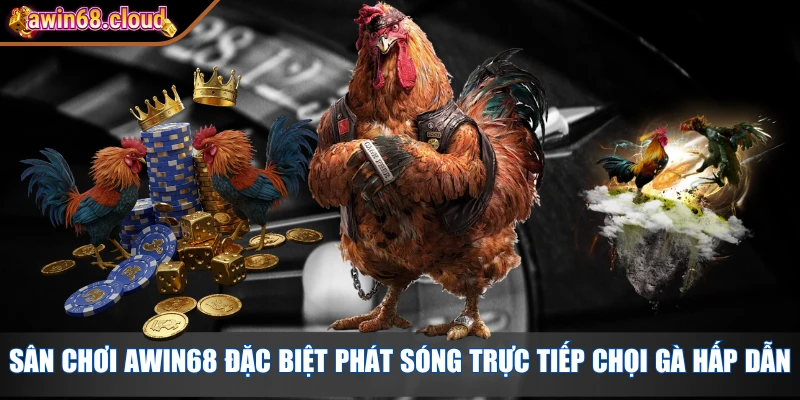 Sân chơi Awin68 đặc biệt phát sóng trực tiếp chọi gà hấp dẫn