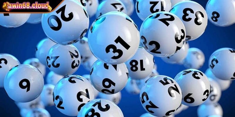 Cách Nuôi Lô Khung 10 Ngày Hiệu Quả Thành Viên Cần Biết 3 Nuôi dàn khung 10 ngày