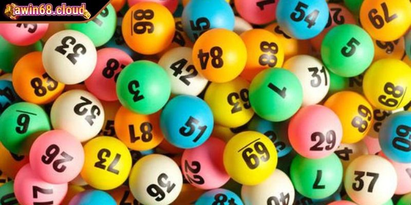 Loại hình Power 7/55